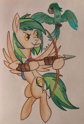 Size: 1352x1990 | Tagged: safe, artist:gracefulart693, imported from derpibooru, oc, oc only, bird, parrot, pegasus, pony, arrow, bow (weapon), bow and arrow, duo, hoof hold, male, pegasus oc, smiling, smirk, stallion, traditional art, weapon, wings