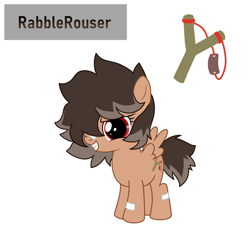Size: 676x676 | Tagged: safe, artist:cdv, derpibooru exclusive, imported from derpibooru, oc, oc only, oc:rabble rouser, pegasus, pony, female, filly, foal, reference sheet, simple background, solo, white background