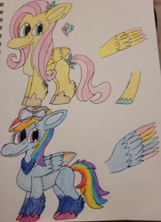 Size: 2806x3876 | Tagged: safe, artist:mintwhistle, imported from derpibooru, fluttershy, rainbow dash, butterfly, pegasus, pony, aviator goggles, bandana, bow, coat markings, colored wings, crayon drawing, duo, duo female, feathered fetlocks, female, flower, flower in hair, g4, g4 to g5, g5, generation leap, goggles, hoof shoes, looking back, mare, missing cutie mark, multicolored wings, redesign, sketchbook, smiling, spread wings, tail, tail bow, traditional art, unshorn fetlocks, wings