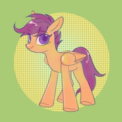 Size: 1500x1500 | Tagged: safe, artist:luanshanhun, imported from derpibooru, scootaloo, pegasus, pony, female, solo