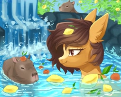 Size: 2048x1638 | Tagged: safe, artist:fixhiara1, imported from derpibooru, oc, oc only, pony, bathing, capybara, commission, ear fluff, female, food, lemon, signature, water, waterfall