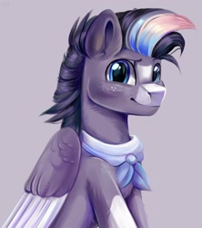 Size: 2400x2700 | Tagged: safe, artist:ske, imported from derpibooru, oc, oc only, pegasus, pony, ascot, bust, coat markings, colored wings, colored wingtips, dappled, freckles, simple background, smiling, socks (coat markings), solo, two toned wings, wings