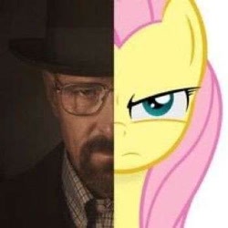 Size: 350x350 | Tagged: safe, artist:godoffury, edit, imported from derpibooru, fluttershy, human, pegasus, pony, angry, breaking bad, facial hair, female, glasses, goatee, hat, looking at you, male, mare, walter white