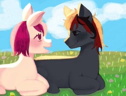 Size: 702x536 | Tagged: safe, imported from derpibooru, oc, oc only, earth pony, pony, couple, duo, looking at each other, looking at someone, lying down, meadow, ponyloaf, prone