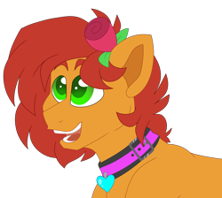 Size: 5288x4739 | Tagged: safe, artist:crazysketch101, imported from derpibooru, oc, oc only, oc:kale triton, earth pony, pony, collar, flower, looking up, rose, simple background, smiling, solo, transparent background