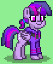 Size: 528x636 | Tagged: safe, imported from derpibooru, twilight sparkle, alicorn, pony, pony town, clothes, green background, hoodie, simple background, solo