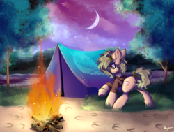 Size: 3306x2500 | Tagged: safe, artist:mysha, imported from derpibooru, oc, oc only, oc:nettle vienna, earth pony, pony, campfire, camping, earth pony oc, female, logo, mare, moon, solo, tent