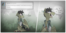 Size: 1280x638 | Tagged: safe, artist:thevixvix, imported from derpibooru, oc, oc:cassio, pegasus, pony, ask, bandage, comic, jewelry, male, necklace, solo, stallion, tumblr