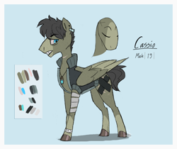 Size: 1280x1073 | Tagged: safe, artist:thevixvix, imported from derpibooru, oc, oc only, oc:cassio, pegasus, pony, bandage, bracelet, jewelry, male, necklace, reference sheet, solo, stallion