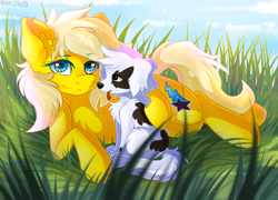 Size: 2560x1840 | Tagged: safe, artist:yuris, imported from derpibooru, oc, oc only, oc:lightning star, dog, earth pony, pony, animal, chest fluff, cloud, day, duo, ears up, field, grass, lies, puppy, sky, smiling, trade