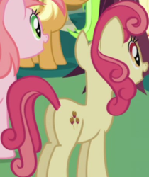 Size: 389x463 | Tagged: safe, imported from derpibooru, screencap, apple bumpkin, earth pony, pony, friendship is magic, apple family member, background character, background pony, butt, cropped, female, mare, plot, solo focus