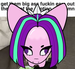 Size: 1164x1060 | Tagged: safe, artist:indigohatetrain, imported from derpibooru, aria blaze, earth pony, pony, female, kubrick stare, meme, ponified animal photo, ponified meme, solo, vulgar