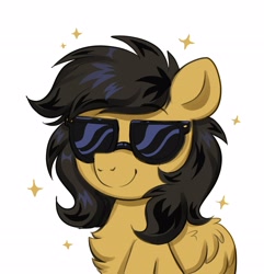 Size: 2781x2883 | Tagged: safe, artist:confetticakez, imported from derpibooru, oc, oc only, pony, chest fluff, female, simple background, solo, sunglasses, white background