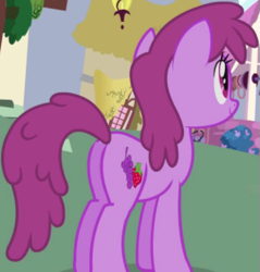 Size: 527x551 | Tagged: safe, imported from derpibooru, screencap, berry punch, berryshine, earth pony, pony, friendship is magic, background character, background pony, berry butt, butt, cropped, female, mare, plot, solo, solo focus