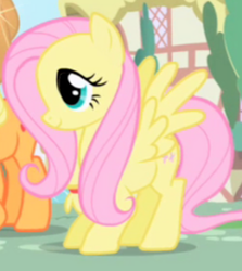 Size: 236x265 | Tagged: safe, imported from derpibooru, screencap, fluttershy, pegasus, pony, cute, screenshots