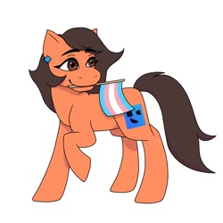 Size: 1024x1024 | Tagged: safe, artist:ghost_raaner, imported from derpibooru, oc, oc:robertapuddin, cute, pride, pride flag, transgender, transgender pride flag