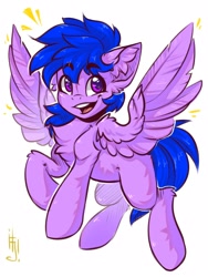 Size: 1200x1600 | Tagged: safe, artist:falafeljake, imported from derpibooru, oc, oc only, pegasus, pony, chest fluff, commission, ear fluff, simple background, solo, white background