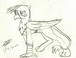 Size: 1562x1191 | Tagged: safe, artist:darthalex70, imported from derpibooru, oc, oc:duskclaw, griffon, fallout equestria:all things unequal (pathfinder), sketch, solo