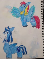 Size: 4032x3024 | Tagged: safe, artist:mintwhistle, derpibooru exclusive, imported from derpibooru, silver glow, thistle whistle, pegasus, pony, alternate cutie mark, bald face, blaze (coat marking), coat markings, colored pencil drawing, duo, duo male and female, facial markings, female, flying, g2, g3, g3 to g5, g5, generation leap, looking left, male, mare, old art, redesign, rule 63, sketchbook, smiling, spread wings, stallion, traditional art, unshorn fetlocks, wings
