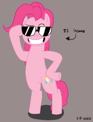 Size: 1458x1915 | Tagged: safe, artist:hightierartist, imported from derpibooru, pinkie pie, earth pony, pony, bipedal, female, grin, simple background, smiling, solo, sunglasses