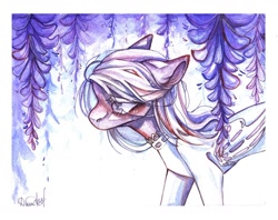 Size: 1280x1015 | Tagged: safe, artist:dorry, imported from derpibooru, oc, oc only, pegasus, pony, clothes, flower, looking down, pegasus oc, signature, simple background, solo, traditional art, watercolor painting, white background