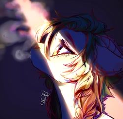 Size: 1212x1171 | Tagged: safe, artist:dorry, imported from derpibooru, oc, oc only, pony, braid, bust, horns, light, looking up, portrait, smoke, smoking, solo