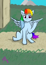 Size: 1448x2048 | Tagged: safe, artist:ashleighasmora, imported from derpibooru, rainbow dash, pegasus, pony, female, solo