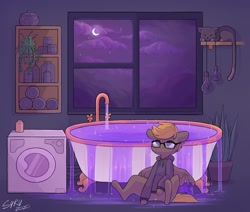 Size: 1280x1084 | Tagged: safe, artist:survya, imported from derpibooru, oc, oc only, cat, pegasus, pony, bath, bathroom, glasses, night, pegasus oc, room, sitting, sitting on floor, sleeping, solo, sparkles, washing machine