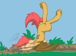 Size: 5119x3756 | Tagged: safe, artist:pzkratzer, imported from derpibooru, oc, oc:ponygriff, hybrid, butt, crash, dirt, faceplant, male, mud, paws, plot, ponygriff, sketch, stupid, underpaw