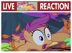 Size: 1080x797 | Tagged: safe, edit, edited screencap, imported from derpibooru, screencap, scootaloo, pegasus, pony, sleepless in ponyville, faic, leaves, live tucker reaction, meme, reaction image