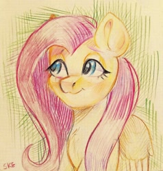 Size: 2058x2160 | Tagged: safe, artist:ske, imported from derpibooru, fluttershy, pegasus, pony, :3, smiling, solo, traditional art