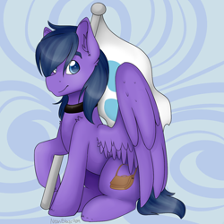 Size: 1280x1280 | Tagged: safe, artist:neonblaze909, imported from derpibooru, oc, oc only, oc:feather freight, pegasus, pony, collar, flag, male, poniverse, simple background, stallion