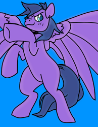 Size: 292x377 | Tagged: artist needed, safe, imported from derpibooru, oc, oc only, oc:feather freight, pegasus, pony, collar, pegasus oc, rearing, simple background, spread wings, wings