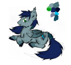 Size: 700x636 | Tagged: safe, artist:kassc, imported from derpibooru, oc, oc only, oc:cobalt blitz, pegasus, pony, chest fluff, ear fluff, lying down, pegasus oc, simple background, sketch, solo, tail, tail wrap, unshorn fetlocks, white background