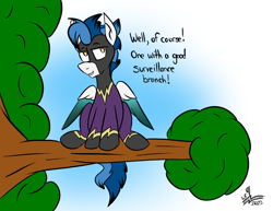 Size: 1210x935 | Tagged: safe, artist:whirlwindflux, imported from derpibooru, oc, oc only, oc:whirlwind flux, pegasus, pony, in a tree, male, shadowbolts, solo, stallion, tree, tree branch