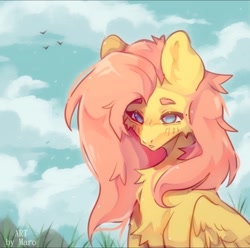 Size: 720x714 | Tagged: safe, artist:marok1mura, imported from derpibooru, fluttershy, bird, pegasus, pony, blushing, catchlights, cheek fluff, chest fluff, cloud, cloudy, ear fluff, female, folded wings, grass, mare, outdoors, shadow, sky, solo, three quarter view, wings