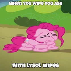 Size: 720x720 | Tagged: safe, edit, edited screencap, imported from derpibooru, screencap, pinkie pie, earth pony, pony, rock solid friendship, caption, cropped, deflated, deflation, dialogue, female, image macro, lysol, solo, text