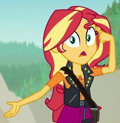 Size: 1058x1080 | Tagged: safe, imported from derpibooru, screencap, sunset shimmer, human, equestria girls, equestria girls series, forgotten friendship, cropped, solo
