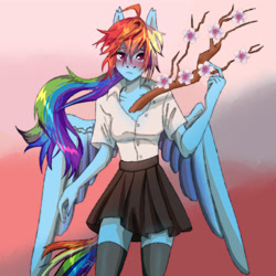 Size: 4000x4000 | Tagged: safe, artist:twivela, imported from derpibooru, rainbow dash, anthro, pegasus, blushing, cherry blossoms, clothes, female, flower, flower blossom, looking at you, mare, school uniform, shirt, skirt, socks, solo, thigh highs, tree branch