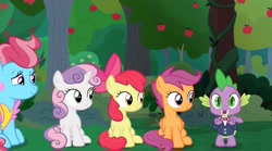 Size: 2160x1205 | Tagged: safe, imported from derpibooru, screencap, apple bloom, cup cake, scootaloo, spike, sweetie belle, dragon, earth pony, pegasus, pony, unicorn, the big mac question, apple, apple tree, bowtie, clothes, cutie mark crusaders, formal wear, happy, orchard, sitting, smiling, suit, sweet apple acres, tree, tuxedo, winged spike, wings