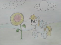 Size: 4032x3016 | Tagged: safe, artist:jakusi, helia, pegasus, pony, cloud, featured image, female, flower, freckles, licking, licking lips, mare, raised hoof, solo, spread wings, sunflower, tongue out, traditional art, wings