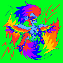 Size: 1280x1277 | Tagged: safe, artist:webkinzworldz, imported from derpibooru, rainbow dash, pegasus, pony, colored wings, green background, multicolored wings, needs more saturation, rainbow power, rainbow wings, simple background, solo, wings