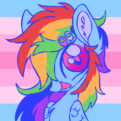 Size: 1280x1280 | Tagged: safe, artist:webkinzworldz, imported from derpibooru, rainbow dash, pegasus, pony, female, gender headcanon, icon, solo, trans female, transgender