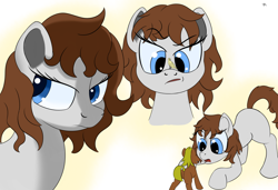 Size: 1750x1200 | Tagged: safe, imported from derpibooru, pony, blue eyes, brown hair, simple background, white background