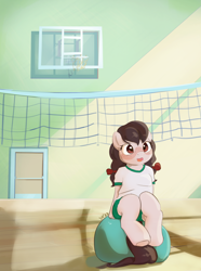 Size: 3088x4160 | Tagged: safe, artist:drafthoof, imported from derpibooru, oc, earth pony, exercise ball, female, filly, foal, gym, human shoulders, sports outfit, volleyball net