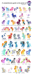 Size: 3000x6750 | Tagged: safe, artist:jaye, imported from derpibooru, apple bloom, applejack, babs seed, berry punch, berryshine, big macintosh, bon bon, carrot cake, carrot top, cheerilee, cup cake, daisy, derpy hooves, diamond tiara, dj pon-3, doctor whooves, flash sentry, fleetfoot, flower wishes, fluttershy, golden harvest, lily, lily valley, limestone pie, lyra heartstrings, marble pie, maud pie, mayor mare, minuette, misty fly, nurse redheart, octavia melody, pinkie pie, pound cake, princess cadance, princess celestia, princess flurry heart, princess luna, pumpkin cake, rainbow dash, rarity, roseluck, scootaloo, shining armor, silver spoon, snails, snips, soarin', spike, spitfire, starlight glimmer, sunburst, sunset shimmer, sweetie belle, sweetie drops, tempest shadow, thunderlane, time turner, trixie, twilight sparkle, twist, vinyl scratch, zecora, zephyr breeze, alicorn, dragon, earth pony, pegasus, pony, unicorn, zebra, female, male, mare, meme, simple background, stallion, twilight sparkle (alicorn), white background, wrong