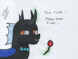 Size: 815x620 | Tagged: safe, artist:alejandrogmj, imported from derpibooru, oc, oc:alejandrogmj, changeling, bowtie, changeling oc, flower, simple background, spanish, traditional art, translated in the comments, white background