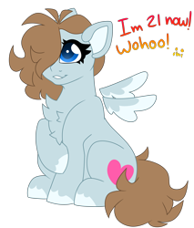 Size: 4620x5410 | Tagged: safe, artist:crazysketch101, imported from derpibooru, oc, oc only, pegasus, pony, chest fluff, self insert, simple background, sitting, solo, transparent background