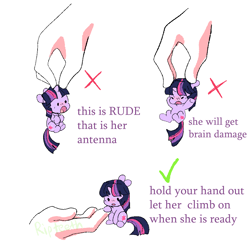 Size: 979x950 | Tagged: safe, artist:ripteeth, imported from derpibooru, twilight sparkle, human, pony, unicorn, :o, angry, check mark, chibi, cute, disembodied hand, floppy ears, funny, hand, holding a pony, how to handle a pony, meme, micro, open mouth, simple background, smol, solo focus, text, tiny, tiny ponies, twiabetes, unicorn twilight, white background