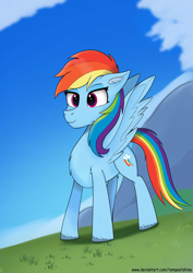 Size: 2480x3508 | Tagged: safe, artist:tempestshine, imported from derpibooru, rainbow dash, pegasus, pony, female, solo